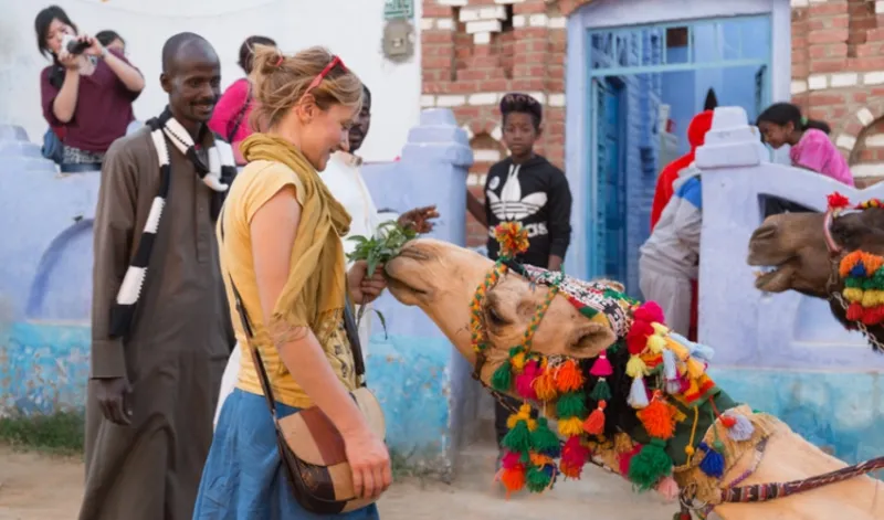 Nubian Museum and Village Tour: Aswan Day Tours