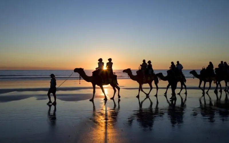 Egypt Vacation Package: Cairo, Sharm El Sheikh and Ancient Wonders