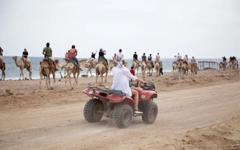 Best Egypt Tours from Canada: Cairo Nile Cruise and Sharm El Sheikh
