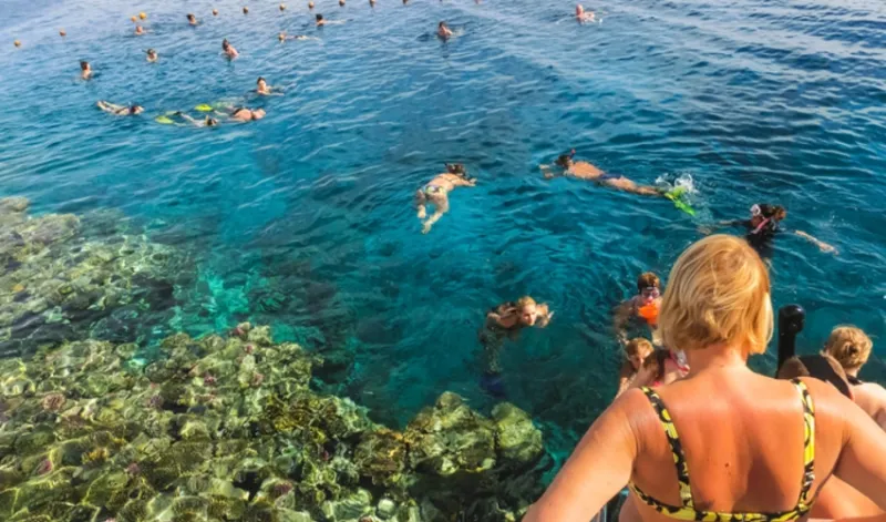 Port Ghalib Snorkeling: Marsa El Shone & Marsa Mubarak