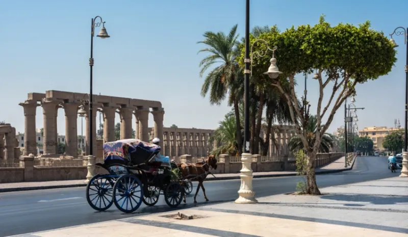Luxor Horse Carriage: Luxor City Tour by Horse Carriage