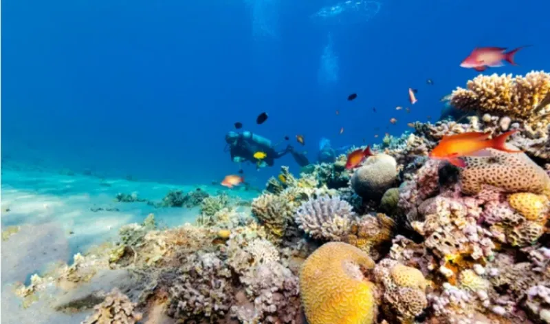 Best Egypt Tour Package: Cairo, Nile Cruise and Sharm El Sheikh
