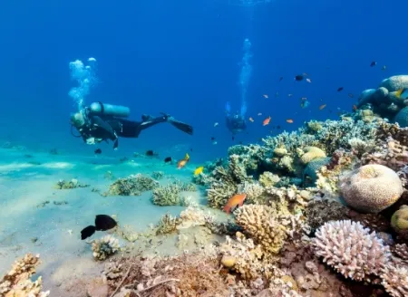 Snorkeler among coral reefs, Sharm El Sheikh Day Trips